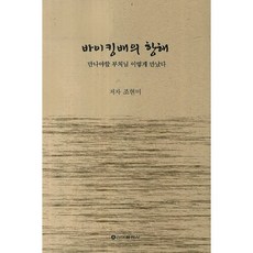 바이킹배의 항해:만나야할 부처님 이렇게 만났다, 신아출판사