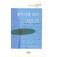 물무늬를 읽다, 시학, 우은숙 저