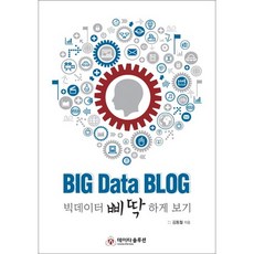 Big Data Blog:빅데이터 삐딱하게 보기, 데이타솔루션, 김동철 저