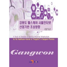 강원도 헬스케어 사물인터넷 산업기반 조성방향:, 진한엠앤비, 강원발전연구원,박상용,박봉원 공저