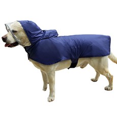 DM 我愛寵物 透明EVA雨衣, 藍色