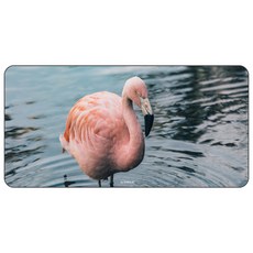 나노씨엔티 게이밍 디자인 데스크매트 120 x 60 cm, 홍학, 1개