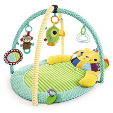 브라이트스타트 라이온 액티비티 짐 아기체육관, 혼합 색상, 1개