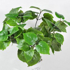 JOART 地面覆蓋棉白楊, 混色