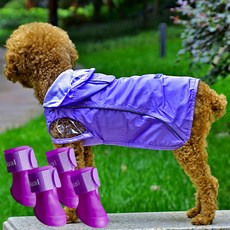 ZEZEPET 寵物戶外雨衣+靴子套組, K00PPDFC021