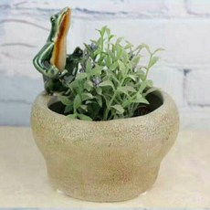 하나샵 개구리 다용도 화분 수반 0635, 혼합 색상