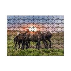 Damoa試管拼圖羅馬尼亞的夕陽與馬群, 150件, 混合顏色