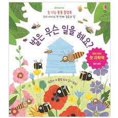 Usborne蜜蜂在做什麼?：我們孩子的第一本科學書 | 蜜蜂的生態, 奧斯朋韓國