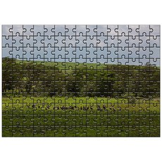 Damoa 試管拼圖 恩戈羅恩戈羅的自然, 150件, 混和顏色