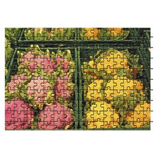 Damoa 試管拼圖 陳列的花椰菜, 150件, 混合顏色