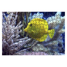 Damoa 試管拼圖 刺尾魚, 150件, 混合顏色