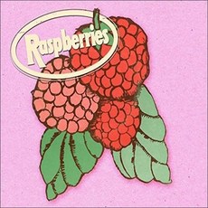 RASPBERRIES - CLASSIC ALBUM SET EU수입반, 4CD