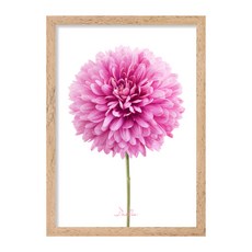 THINK_US 花朵有框畫 26.大麗花A, 淺褐色的