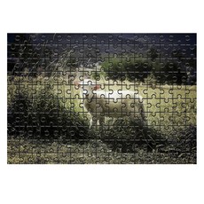 Damoa 試管拼圖 柵欄裡的一隻羊, 150件, 混合顏色, 1個