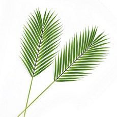 LIVINGGRAY 人造棕梠樹葉 2入, 混色