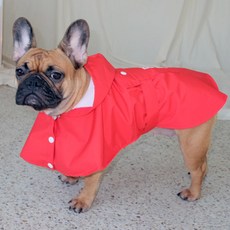 Bella Focus 狗狗雨衣, 紅色, 1個