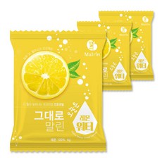 그대로말린 건조과일 오늘은 레몬워터 과실차, 6g, 1개입, 3개