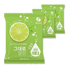 그대로말린 건조과일 오늘은 라임워터 과실차, 6g, 1개입, 3개