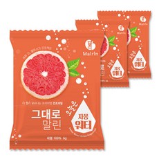그대로말린 건조과일 오늘은 자몽워터 과실차, 6g, 1개