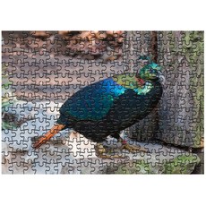 Damoa 試管拼圖 喜馬拉雅野雞, 234件, 混合顏色