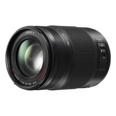 파나소닉 마이크로포서드 망원 줌렌즈, H-HS35100