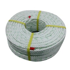 Daewon Safety P.P 安全繩 8Φ 隨機出貨, 1個