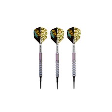 TARGET Soft Barrel WAYNE MARDLE G2 SOFT TIP 19g 飛鏢桿身, 混色, 3片