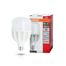 OSRAM 歐司朗 LED 燈泡高瓦特燈 45W, 晝光色, 1個
