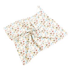 Coney Island 圖案印花超細纖維午睡毯 印地安貓頭鷹款 L號, 混色