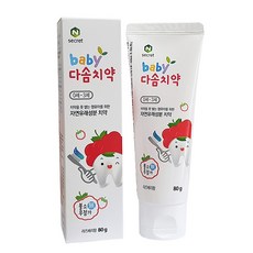 엔시크릿 다솜치약 무불소, 80g, 1개