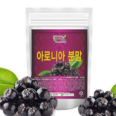 골든허브 아로니아 분말, 300g, 1개