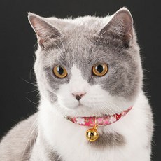 슈퍼식스 고양이 방울 목걸이 골드벨 S, 로즈, 1개