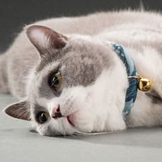 슈퍼식스 고양이 방울 목걸이 골드벨 L, 공작블루, 1개