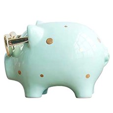PROVENCE KOREA C075黃金豬存錢筒, 1個
