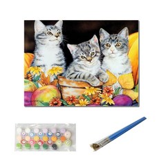 OKPLUS DIY 명화그리기, Y0066, 1개