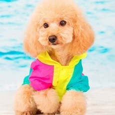 ZEZEPET 彩色連帽寵物戶外服飾, Y499PDFC015, 1個