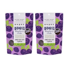 Delight Garden 藍莓乾, 15克, 2個
