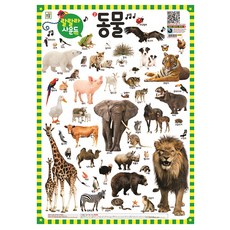 랄랄라 사운드 벽보, 2 동물, 아이키움북