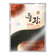 동광종합물산 베트남 바질시드, 600g, 1개