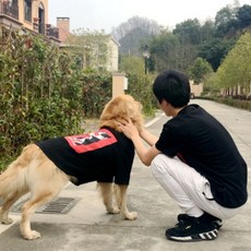 Norland 狗狗與主人情侶短袖套組, 混色