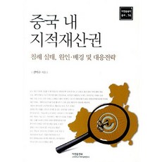 중국 내 지적재산권, 아연출판부, 김익수 저