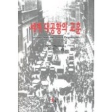 세계 대공황의 교훈, 해남, PETER TEMIN 저/이헌대 역