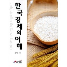 韓國經濟的理解, 紙筆媒體, 成泰京 著
