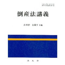 도산법강의, 법문사, 남효정