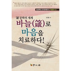 바늘로 마음을 치료하다:잠 문학의 세계, 학고방, 김성훈 저