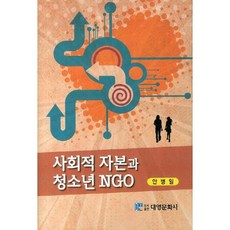 社會資本與青少年NGO, 安炳日 著, 大英文化社