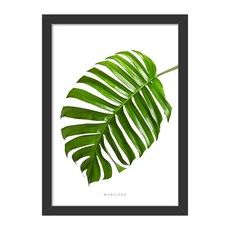 THINK_US 北歐風掛畫 15.龜背芋A, 黑色的