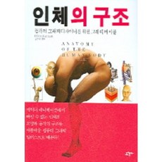 인체의 구조, 조형사