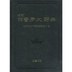 한의학대사전, 정담