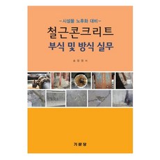 철근콘크리트 부식 및 방식실무:시설물 노후화 대비, 기문당, 송창영